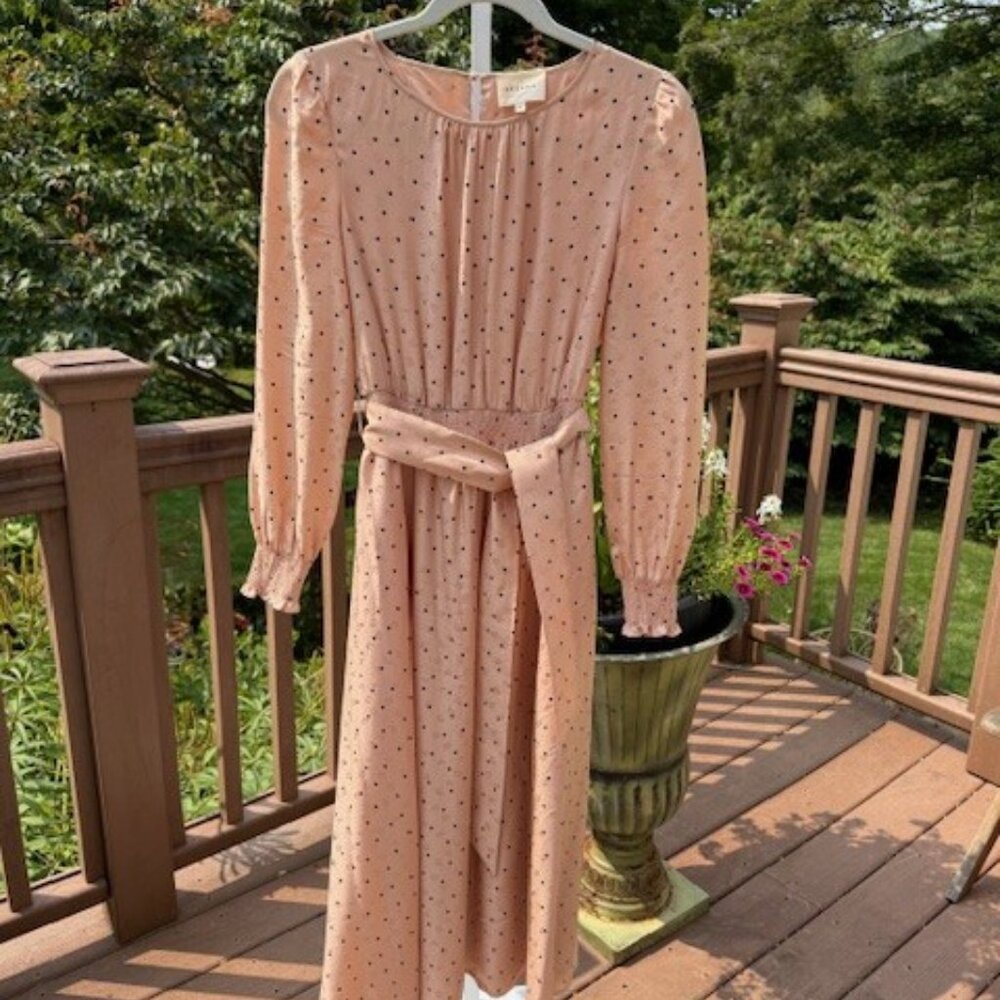 Sezane Justine Silk L/S  Midi Dress